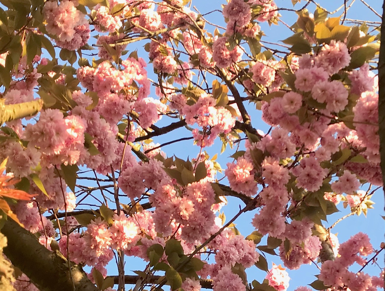 A Love Relationship with God the Father