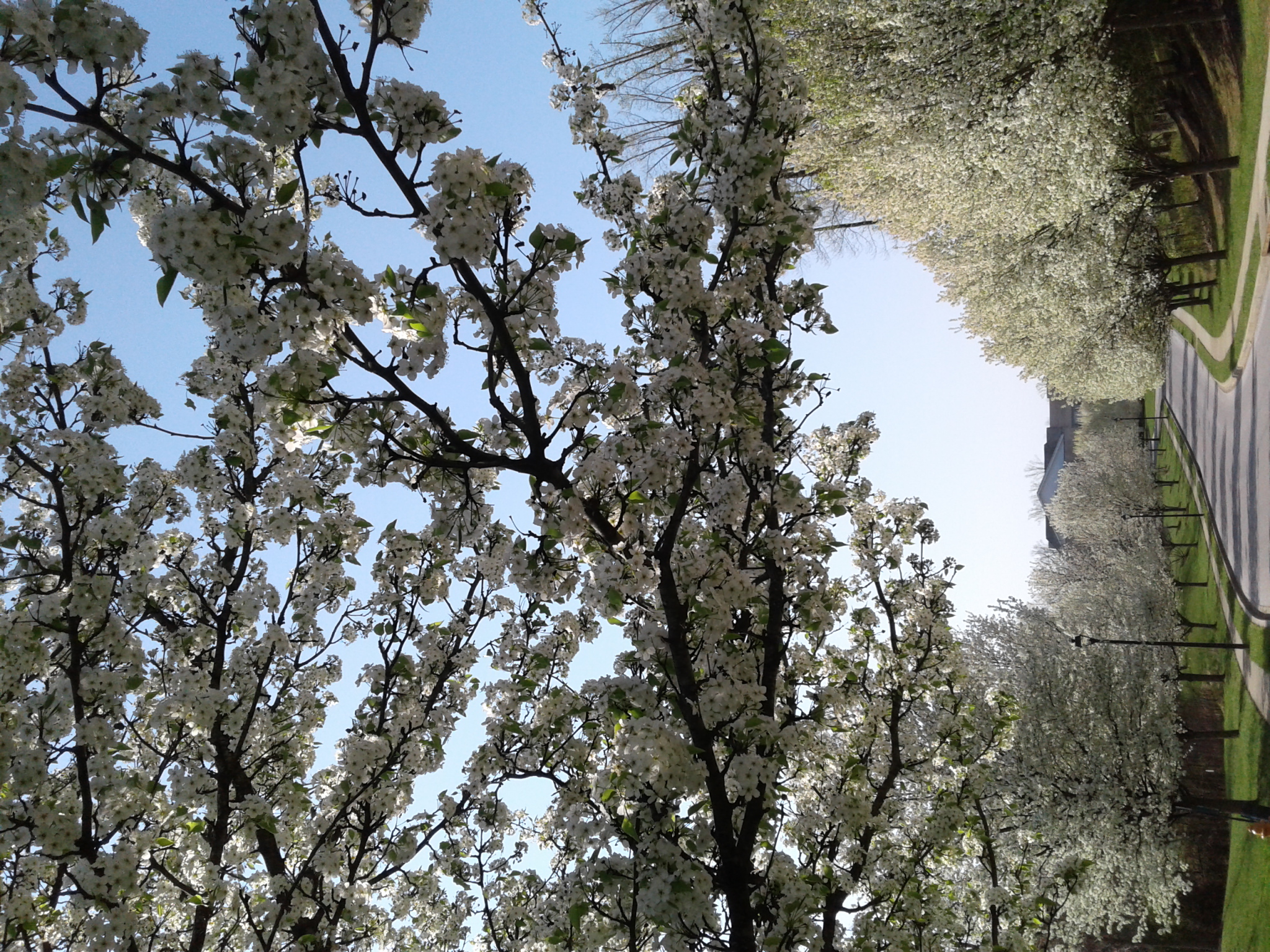 Don’t wriggle out of it