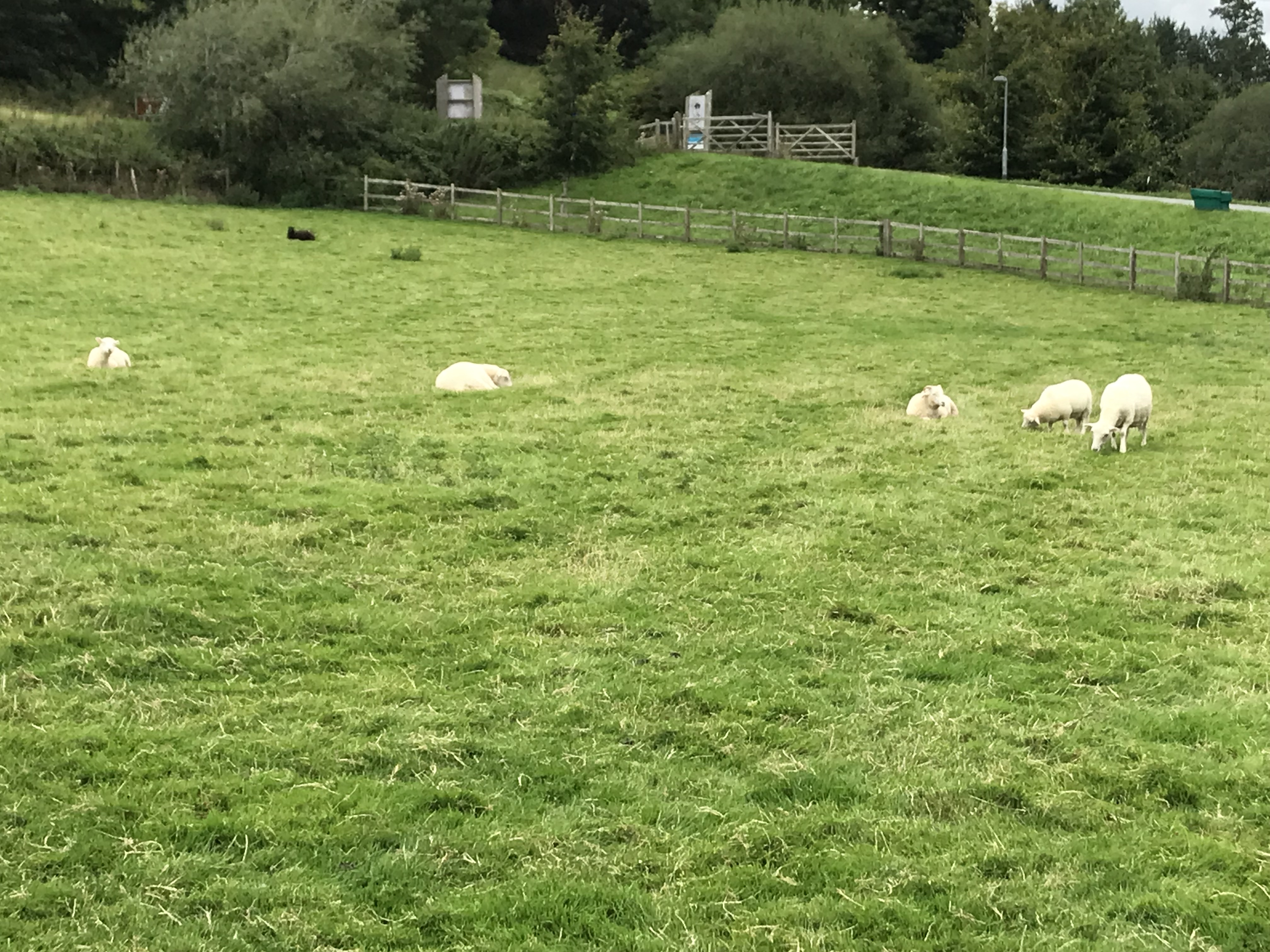 EVERY PERSON IS PRECIOUS TO GOD