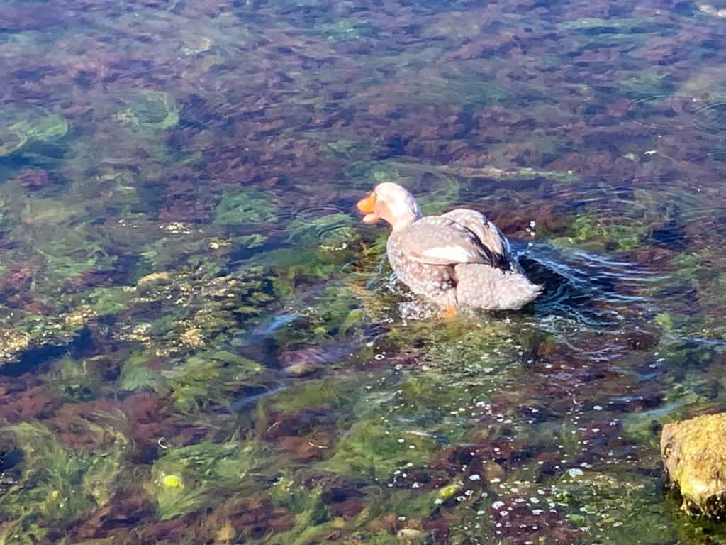 Hearing The Voice Of God