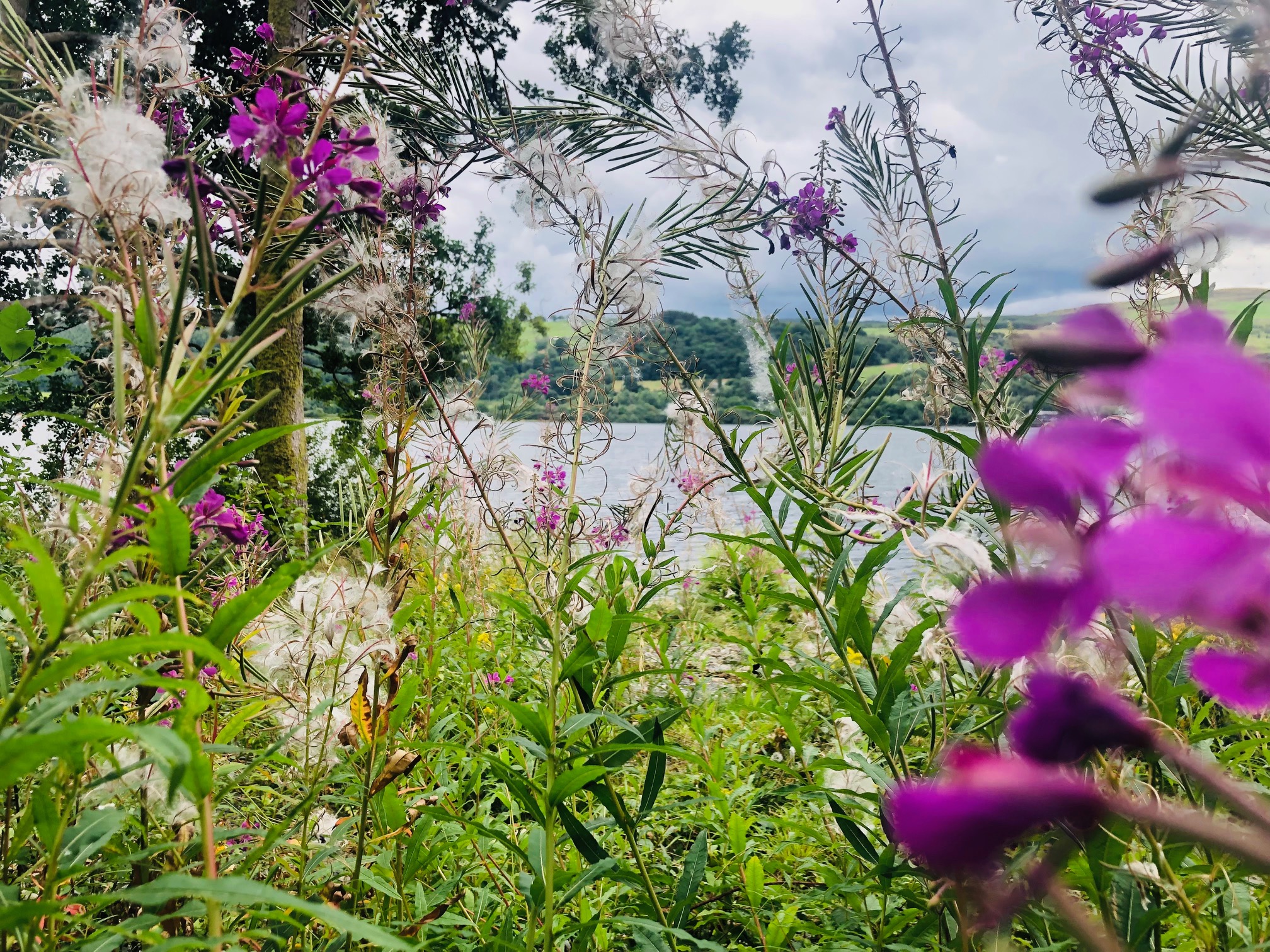 In remembrance of Him: Shouts of Joy or Tears of Joy, which?