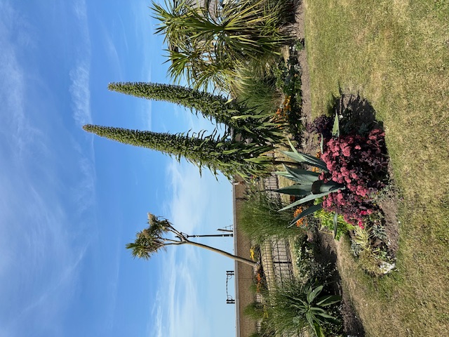 Keep your cool, God will ward off every harm