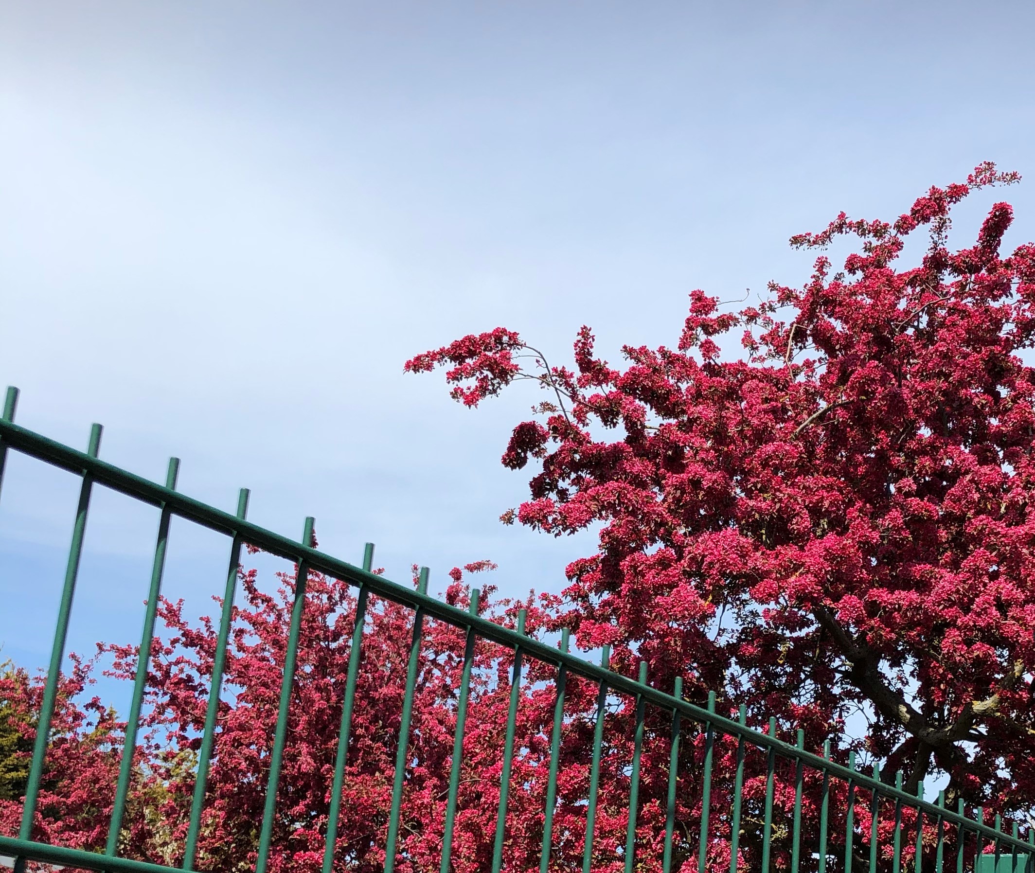 Man’s Spirit, Soul & Body