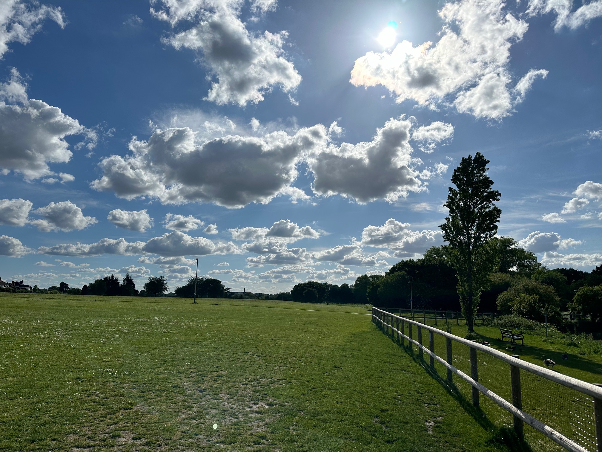 New Year: New Marvellous Things