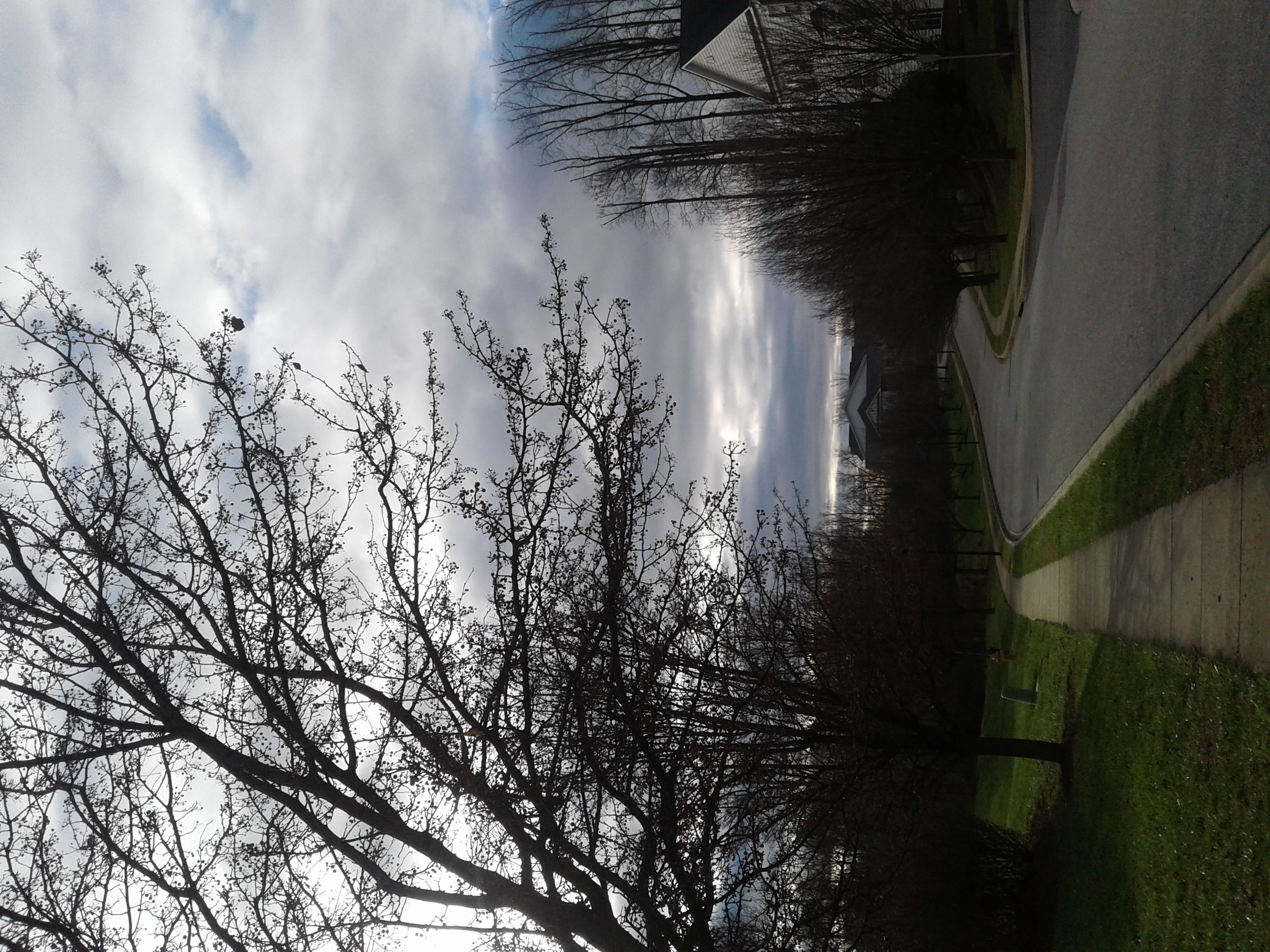 Paul’s Attitude To The Vision