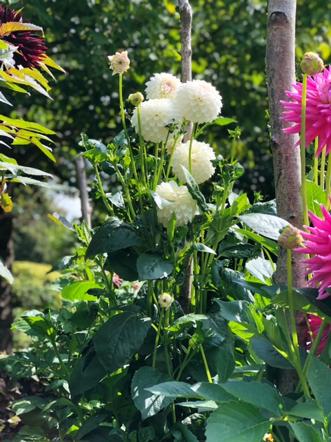 Please Don’t Love Me to Hell