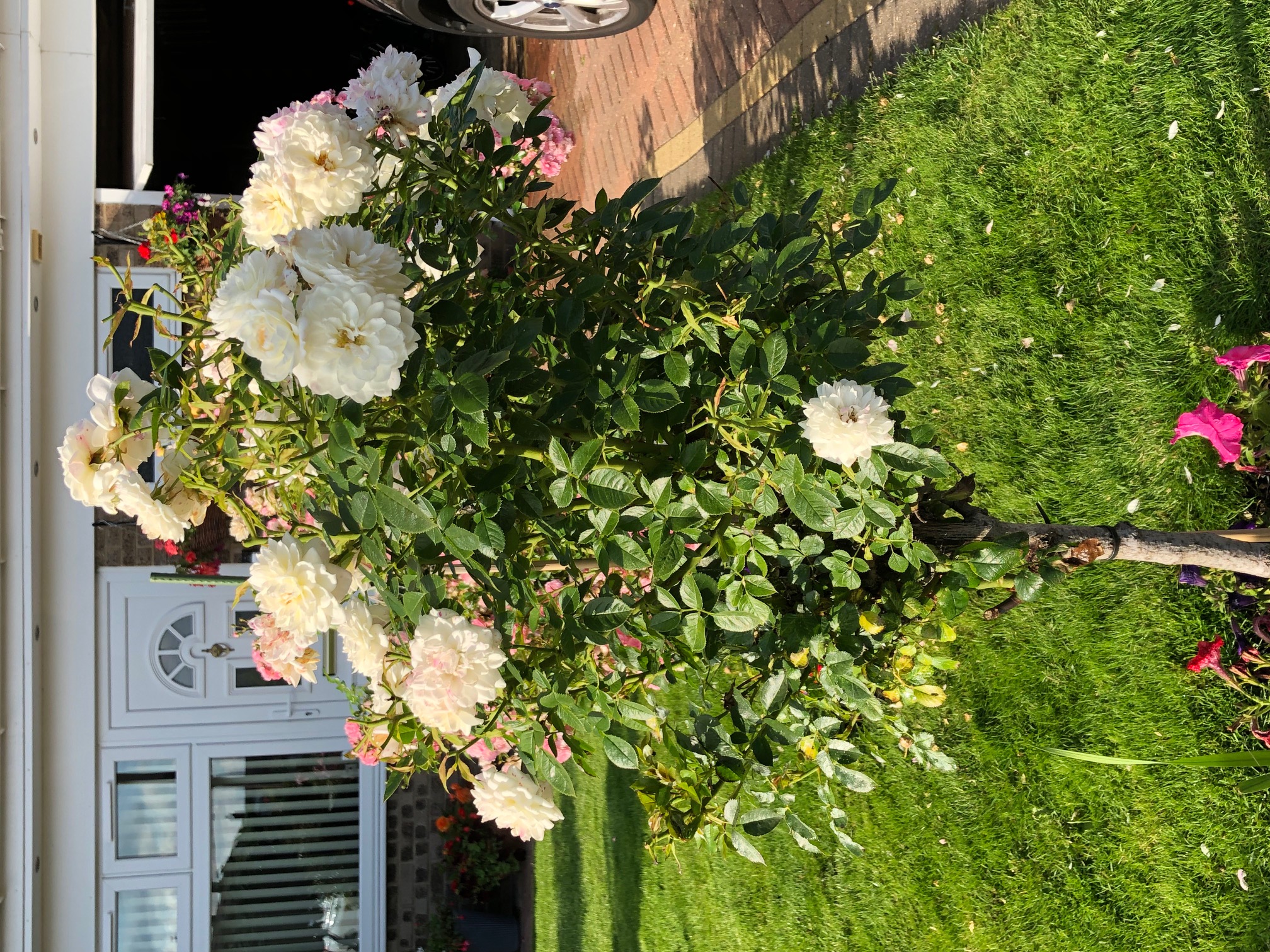 The Seasoned and The Unseasoned