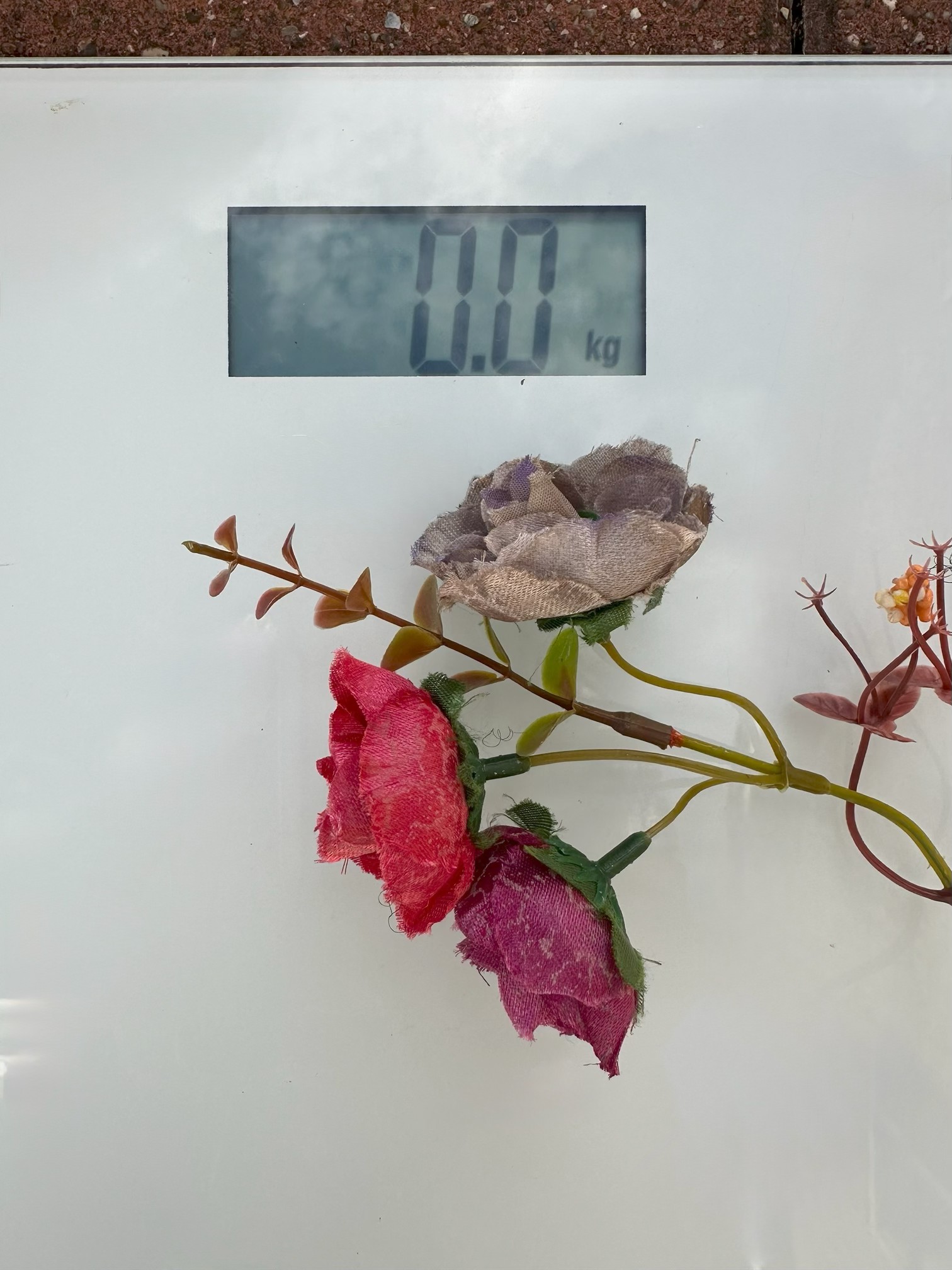 The Weight Loss Went Too Far