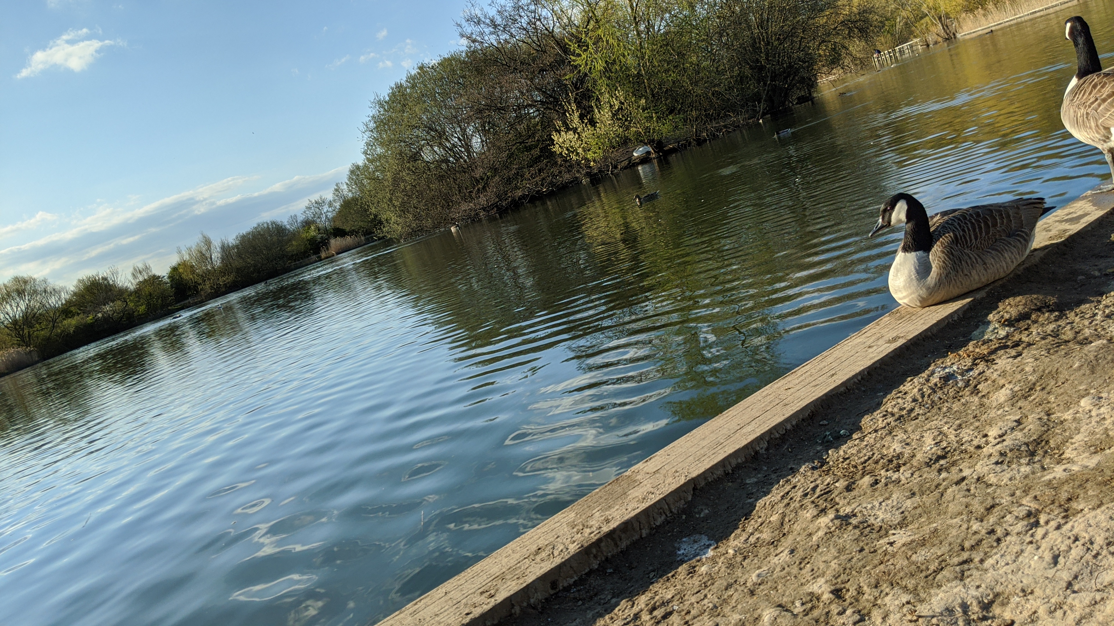 What is man that God is mindful of him?