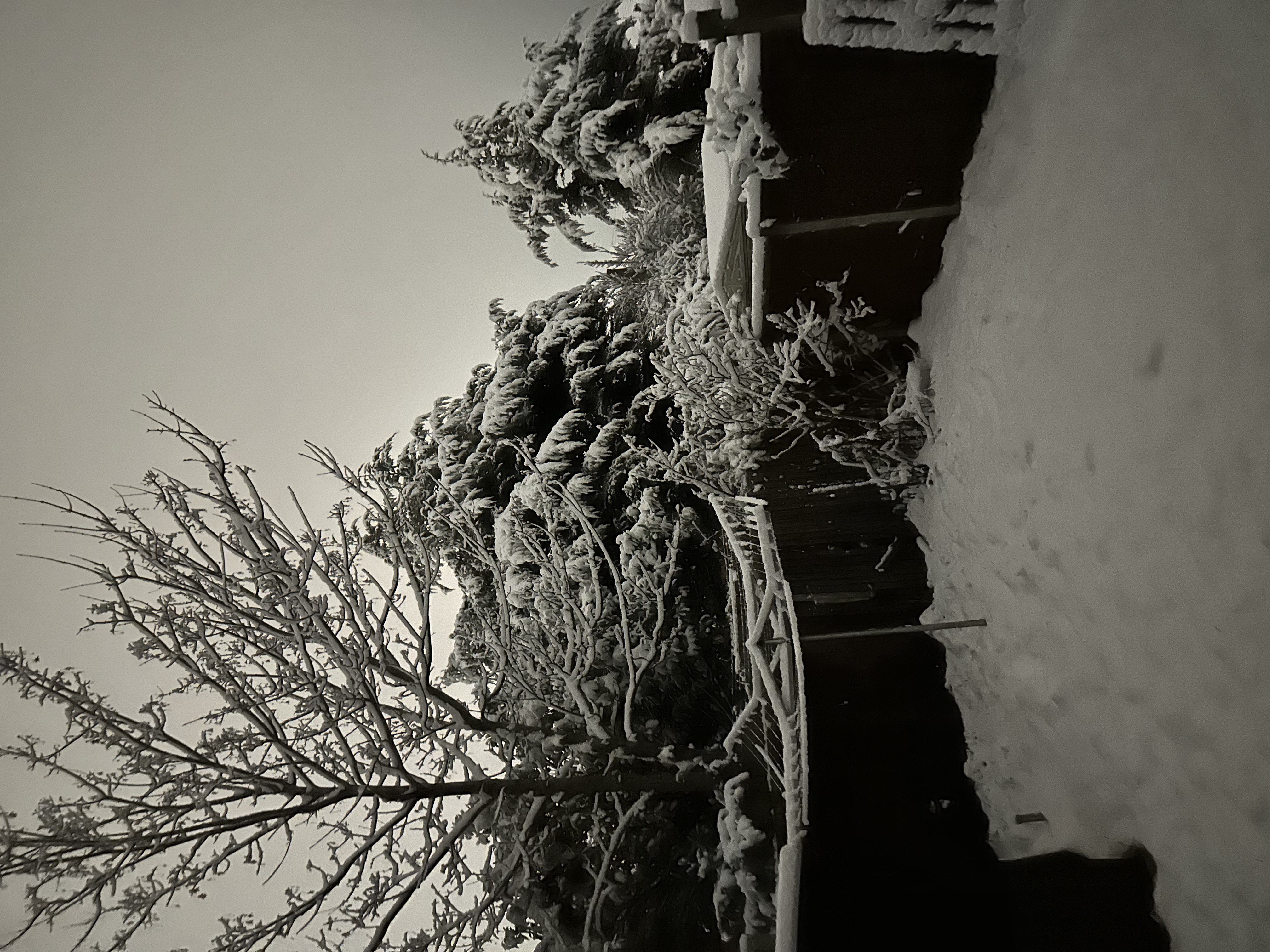 What is not mentioned at Christmas