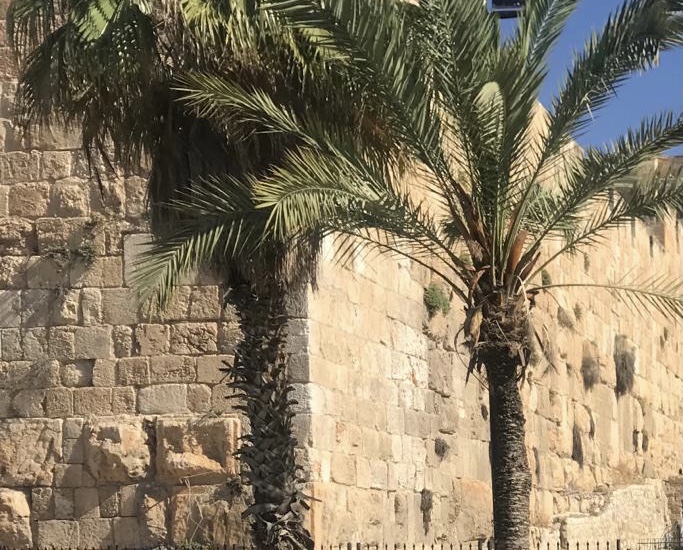 What Made Nehemiah Different