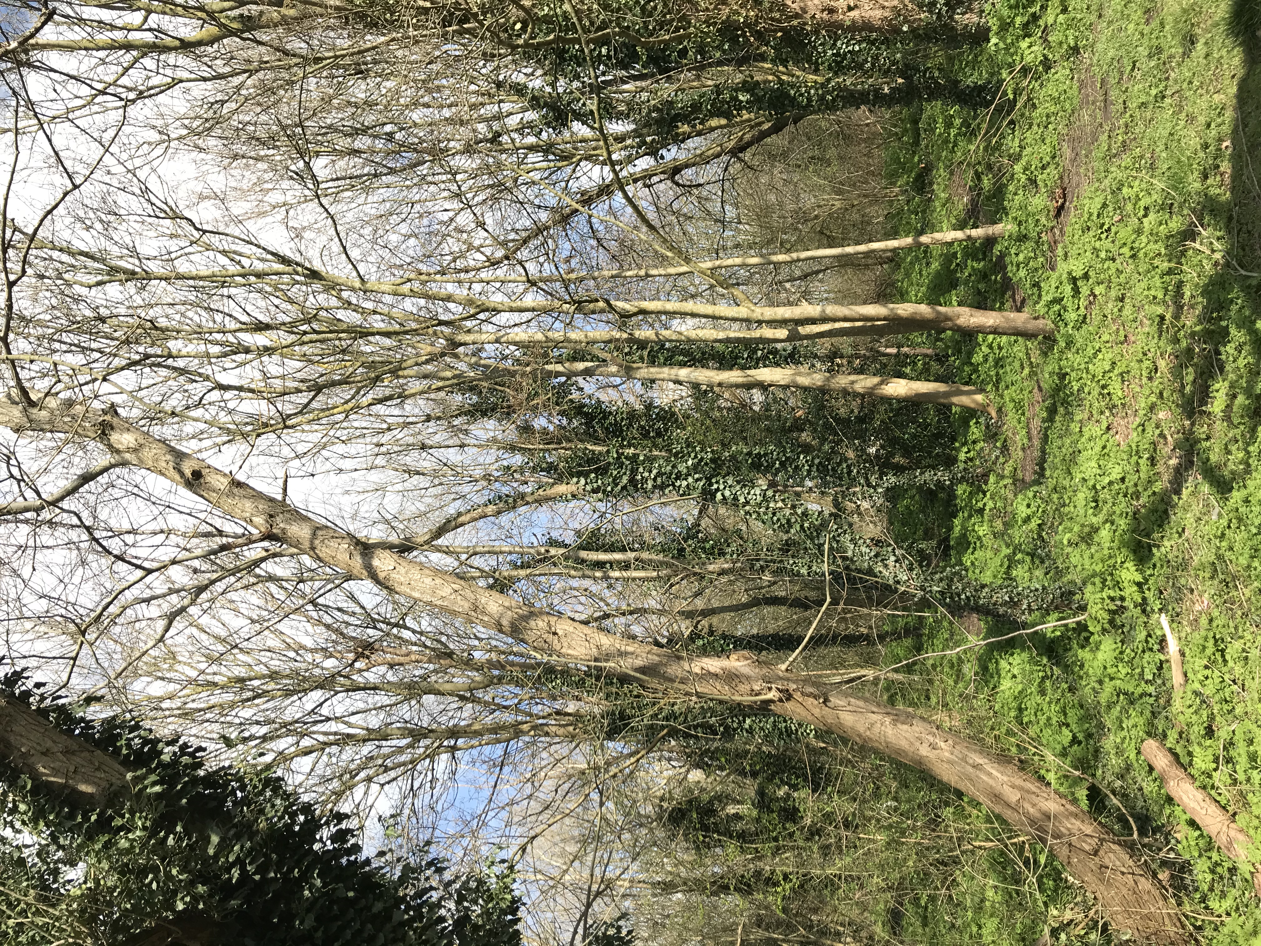 Why are some prayers not answered?