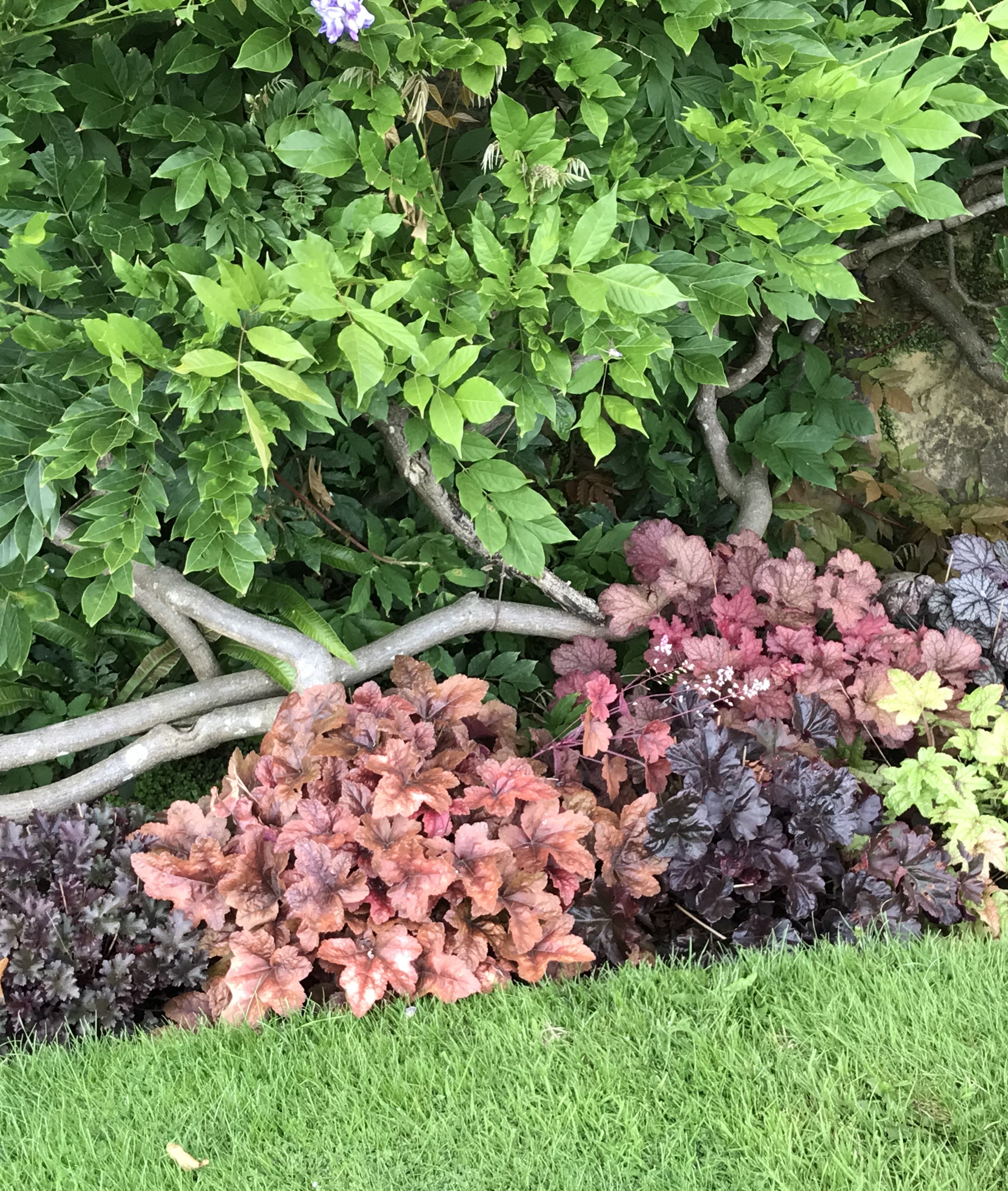 Ncheta Onwu onye anyi: Ahuhu Kraist huru n'ihi anyi