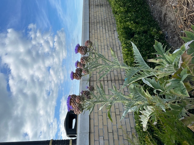 CHINEKE ANAGHI EJIDE IWE RUE MGBE EBI-GHEBI